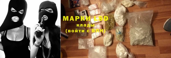 спайс Ельня