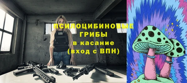 хмурый Елабуга