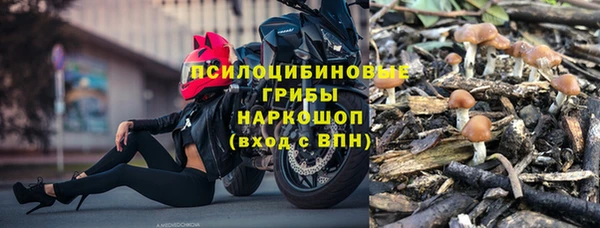 спайс Ельня